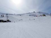 View of the wide slopes at Belvedere