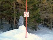 Descents through the forest are prohibited