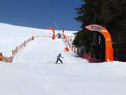 Speed measurement course at the Almbahn in Ellmau