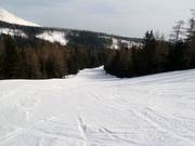 Esicko downhill run