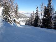 Valley run No. 1