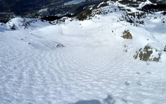 Ski resorts for advanced skiers and freeriding Squamish-Lillooet – Advanced skiers, freeriders Whistler Blackcomb