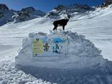 Mountys adventure slope