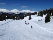 Children enjoy the slopes