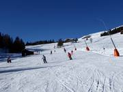 Easy slope Faschingalm