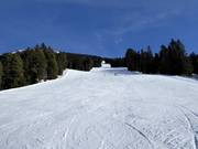 Trametsch slope