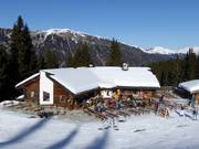 Mountain hut tip Waldhütte