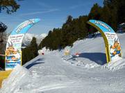 Pitzis Pisten Rules Trail