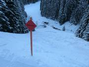 Ski route Halsegg