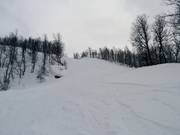 Challenging forest clearing descent