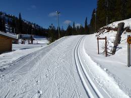 Ruka