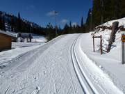 The cross-country trails run right past the ski area.