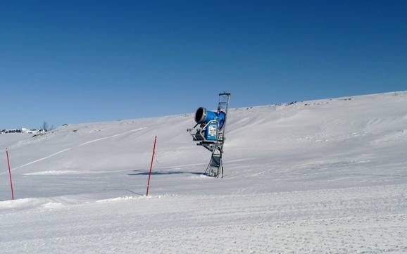 Snow reliability Aust-Agder – Snow reliability Hovden