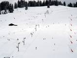 Forêt