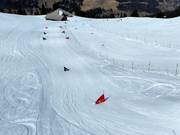 Skicross Rinderberg