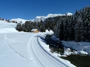 High-altitude trail Lech-Zug