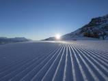 Corduroy morning