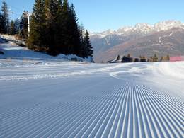 Aprica