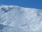 View of the Adrenalin ski route