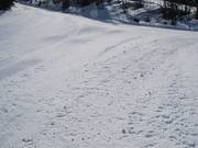 You will only rarely encounter slightly rough sections.