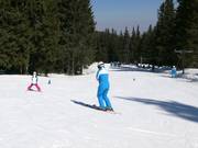 T-bar lift training near Aleko