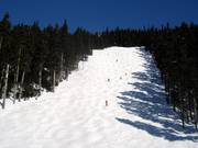 Wide mogul slope