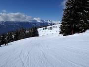 Easy family slope