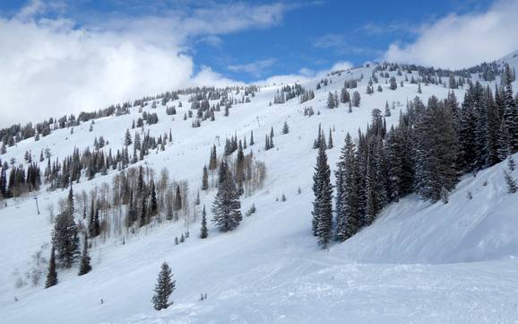 Best ski resort in the Teton Range – Test report Grand Targhee