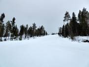 Slope Totto Länsi