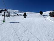 Hirschkogel slope