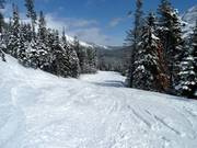 Round-Up Traverse