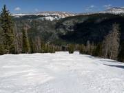 Typical forest run in Winter Park