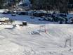 Slope preparation Kleinwalsertal – Slope preparation Walmendingerhorn/Heuberg – Mittelberg/Hirschegg