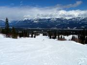 Easy slopes in the lower part of the ski area