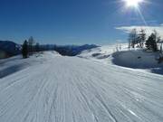 Frauenkar descent