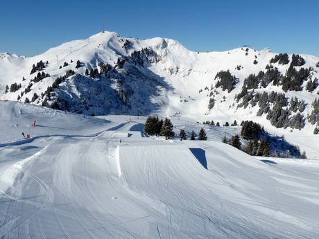 Snow parks Magic Pass – Snow park Villars/Gryon/Les Diablerets