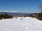 Very easy valley run Ski road №1