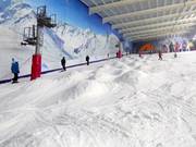 Mogul slope in the indoor ski hall The Snow Centre