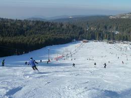 Mehliskopf