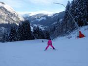 Easy Panorama Run