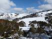Australia: size of the ski resorts – Size Falls Creek