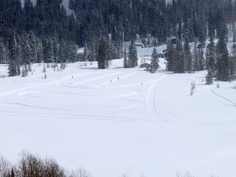 Cross-country skiing Utah – Cross-country skiing Solitude
