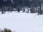 Trails at the Solitude Nordic & Snowshoe Center