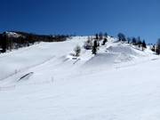 Vogel Snow Park
