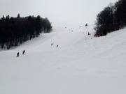 Downhill 1