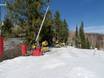 Snow reliability Elk Mountains – Snow reliability Buttermilk Mountain
