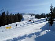 Sunny Slope