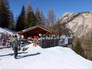 Pastura Hut