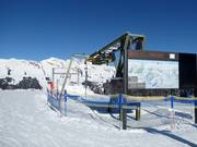 Ruvine - T-bar