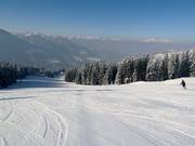FIS downhill